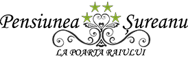 Pensiunea Șureanu Logo